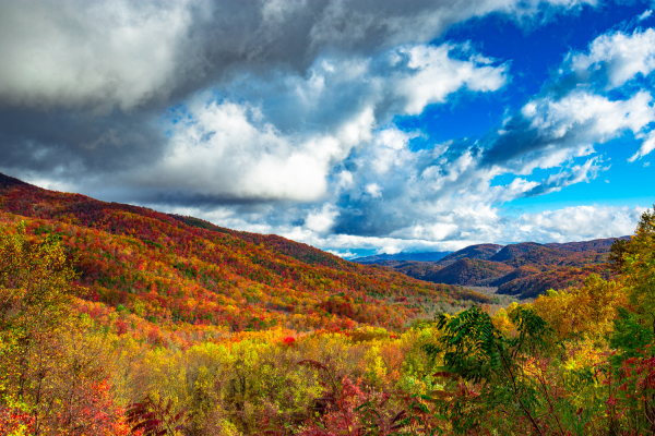 Photo of Great Smoky Mountains