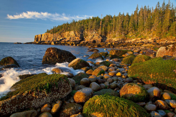 Photo of Acadia