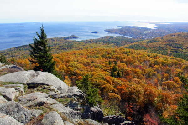 Photo of Acadia