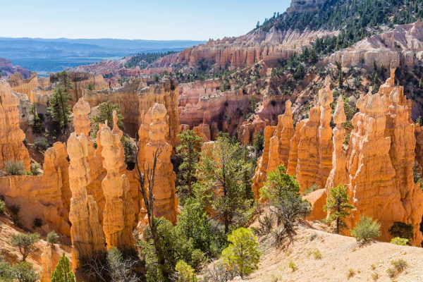 Photo of Bryce Canyon