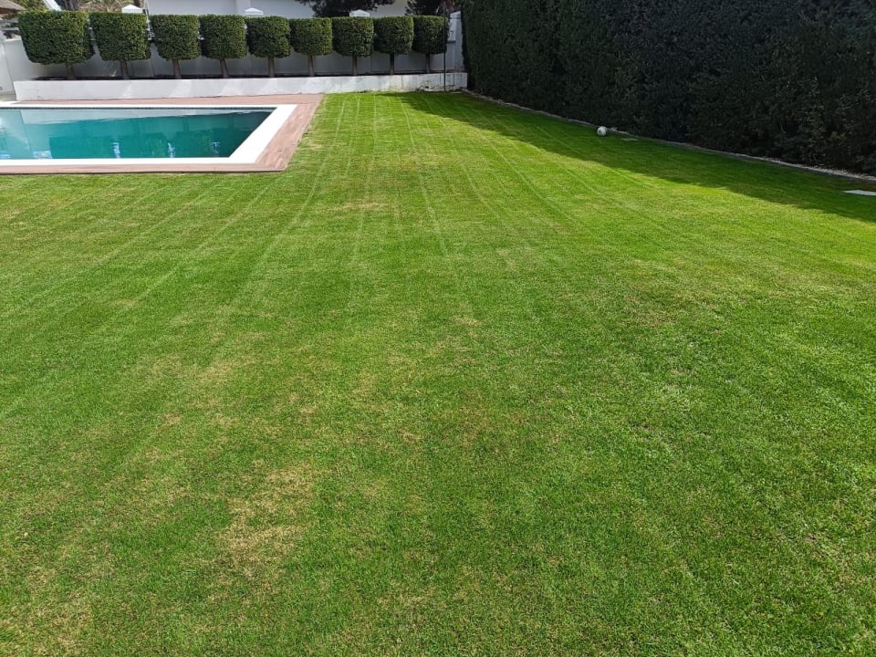 Segado profesional y perfilado de pradera en chalet.
