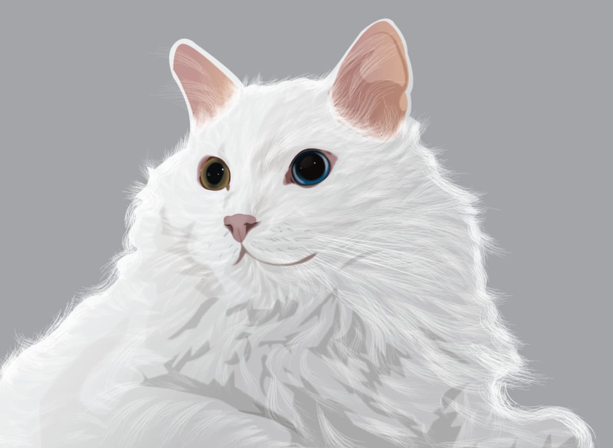 傻猪插画 by 玄猫之道