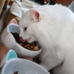 天然鲜香激发食欲