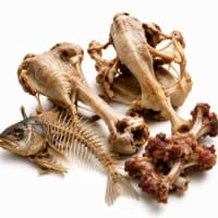 家禽壳类，鱼骨类，肉骨类等材料
