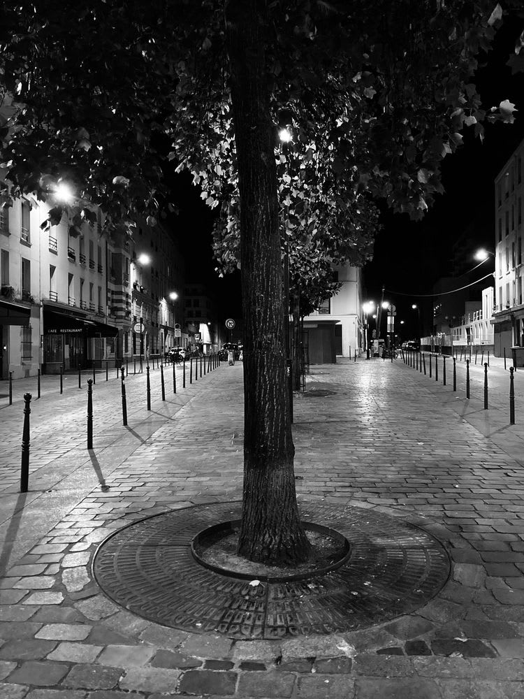 Terre neuve ou Alexandre Dumas ?