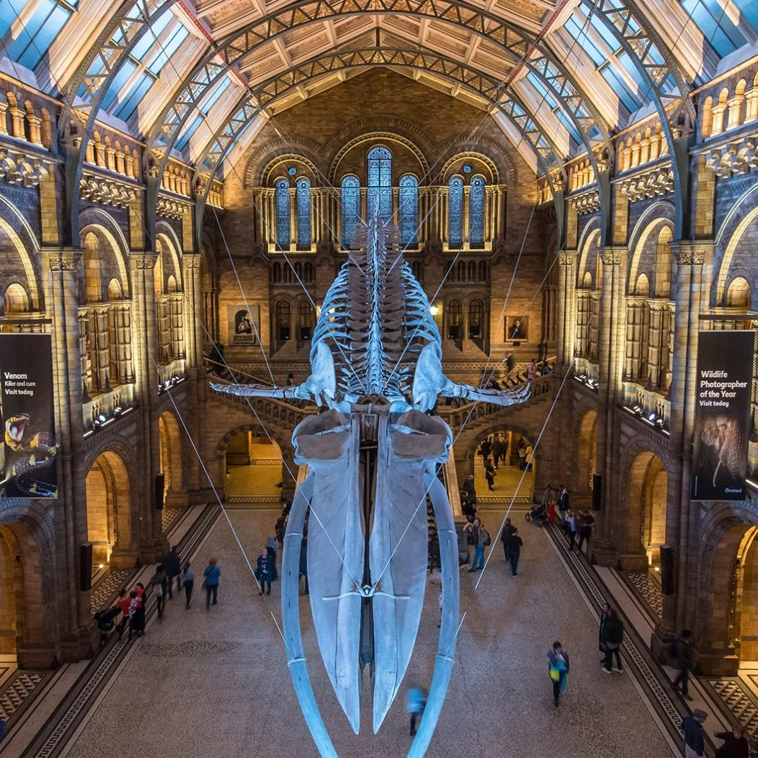 Natural History Museum