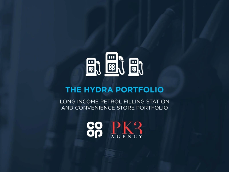 The Hydra Portfolio