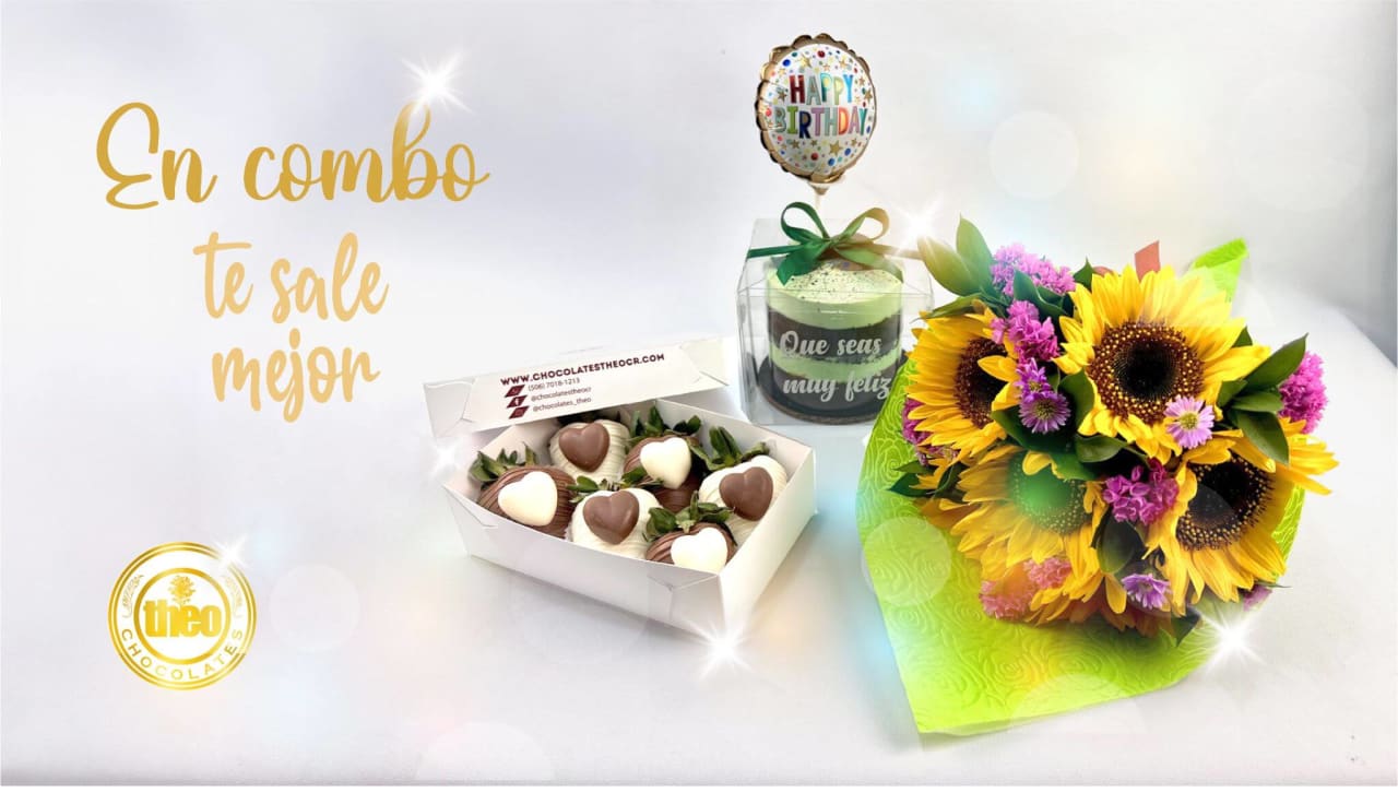 Chocolates Theo — portada 2