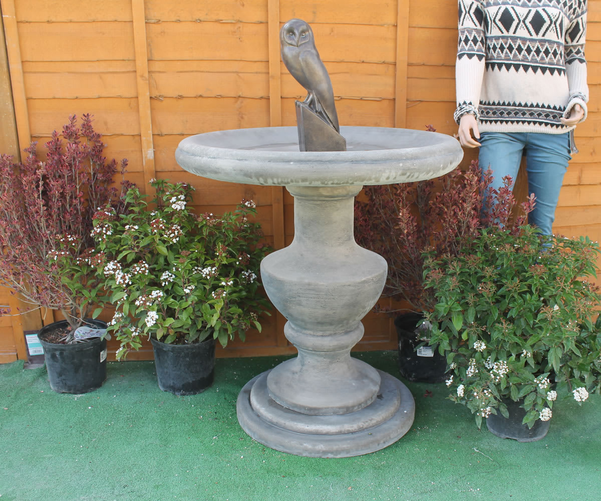 Classic stone bird bath on a pedestal beside garden planting