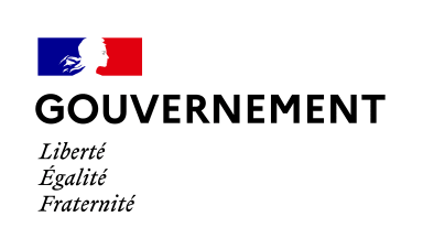 Direction générale des étrangers en France