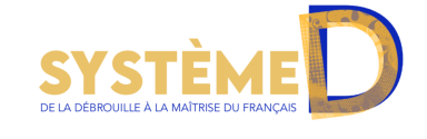 Système D