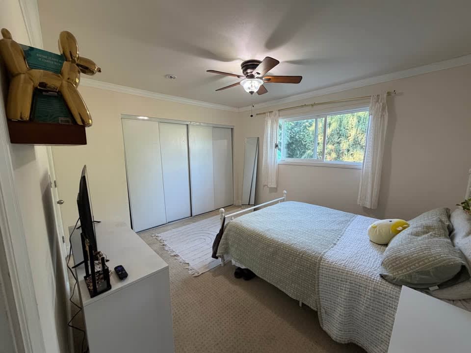 1 Bed 1 Bath - Apartment