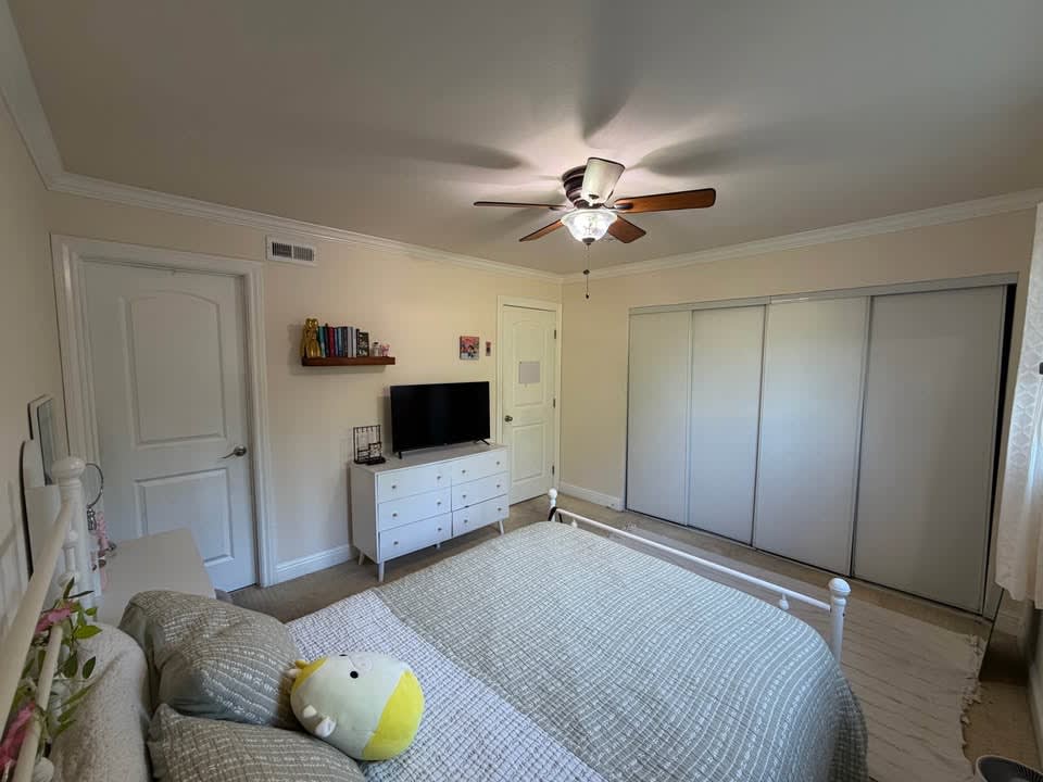 1 Bed 1 Bath - Apartment layout