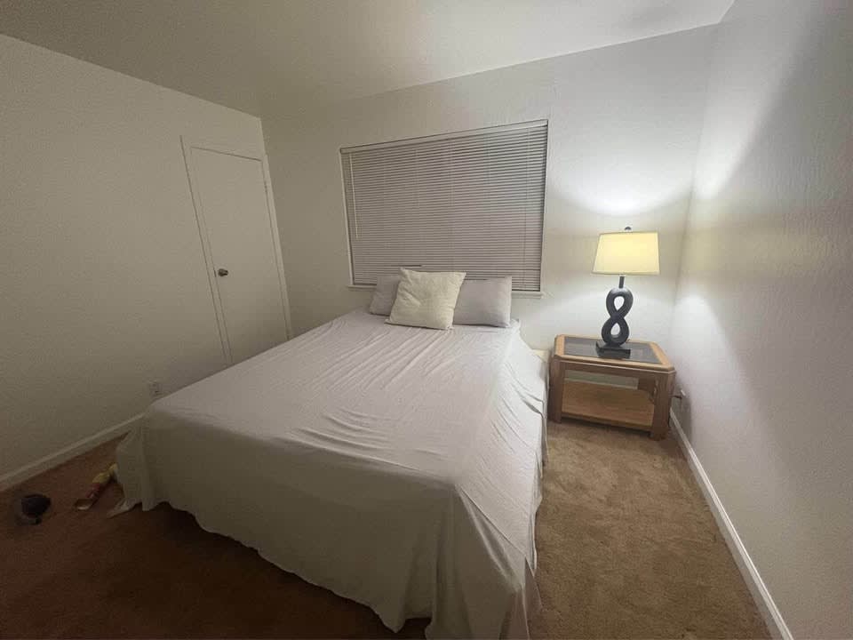 1 Bed 1 Bath - Apartment interior