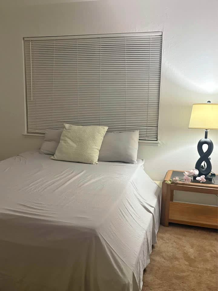 1 Bed 1 Bath - Apartment layout