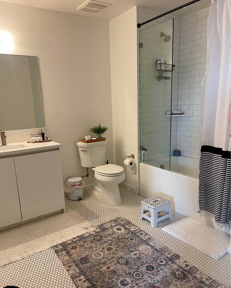 1 Bed 1 Bath Apartment interior