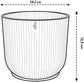 Vue 6 de Elho Vibes Fold Rond