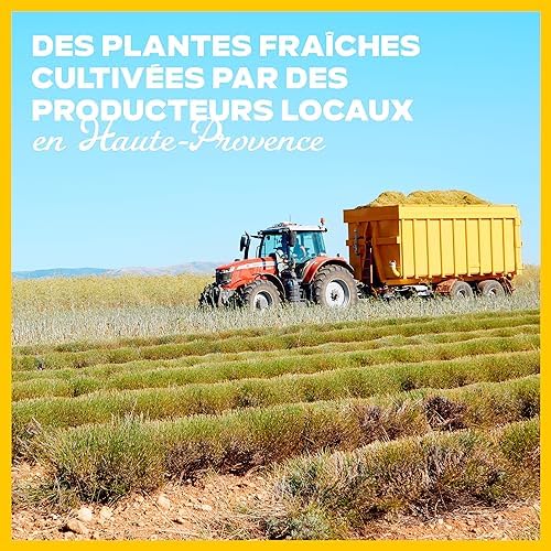 Vue 3 de Ricard Plantes Fraiches Aperitif