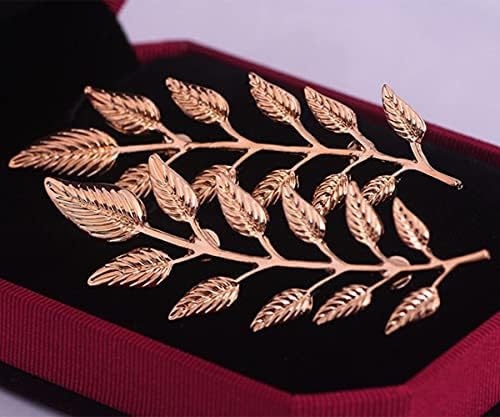 Vue 5 de Sttiafay Suit Collar Pin