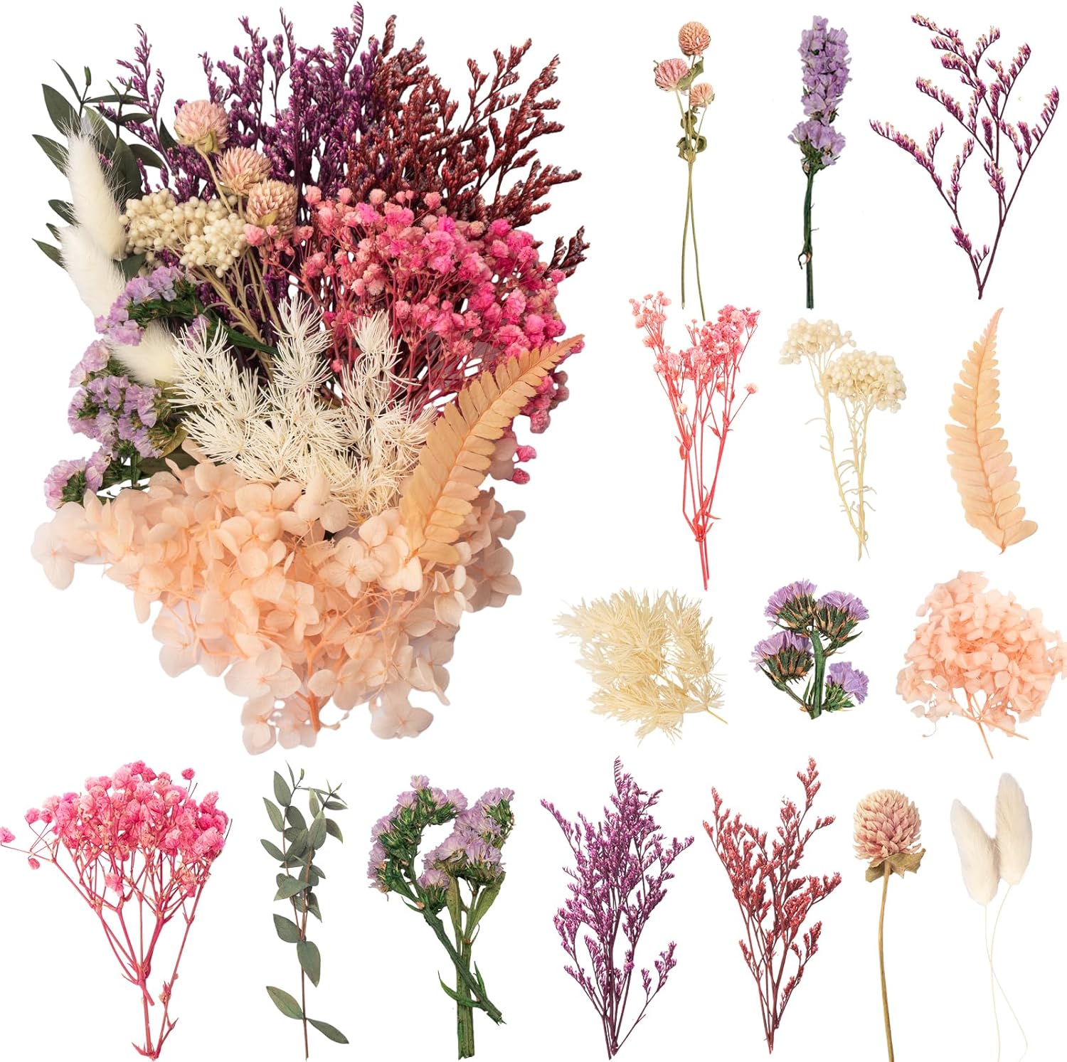 Laumoe Fleurs Sechees Fleurs