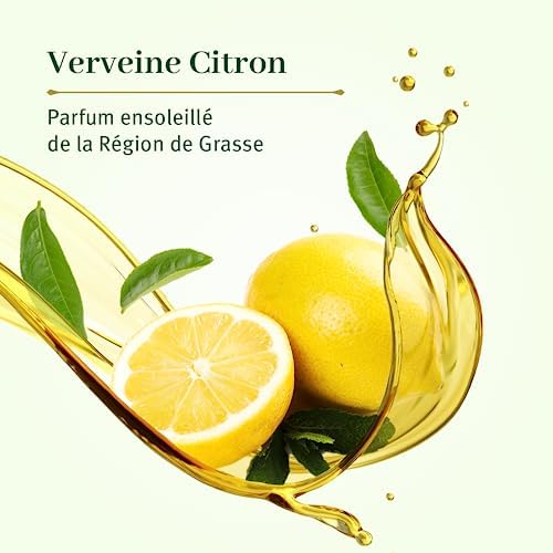 Vue 4 de Le Petit Olivier Lot
