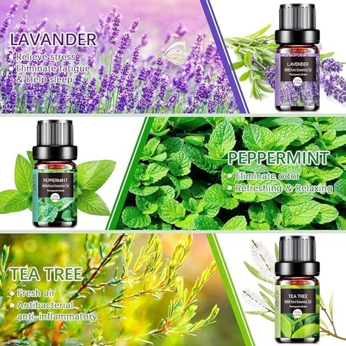 Vue 2 de Aeshory Kit Huiles Essentielles