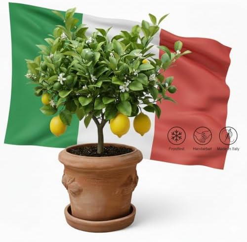Vue 2 de Pot De Fleurs En