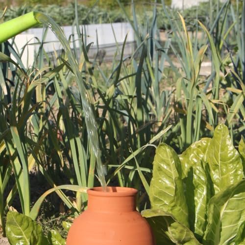 Vue 4 de Ollas Lutton Olla Terre