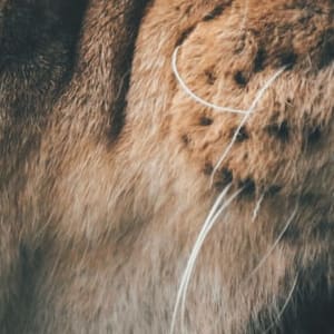 hold a grudge: Idiom Meaning and Origin - The Village Idiom