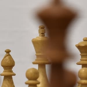 The monkey living on your porch is nothing short of chaotic and unforgettable