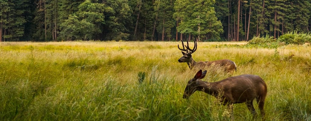 Jane Doe's true identity remains a mystery.