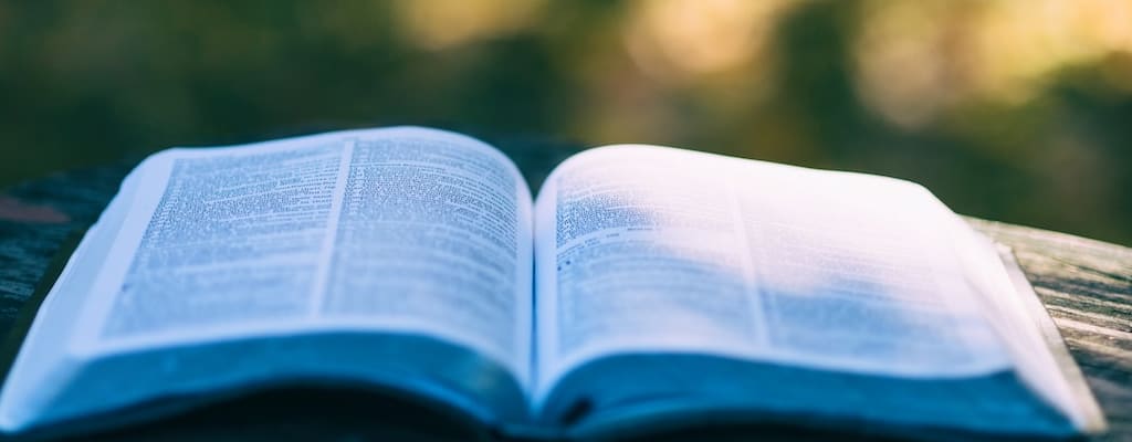 The hypocrisy of judgment and accusation is evident.