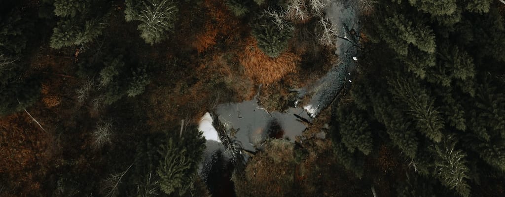 The New York Times categorises idioms in-depth.