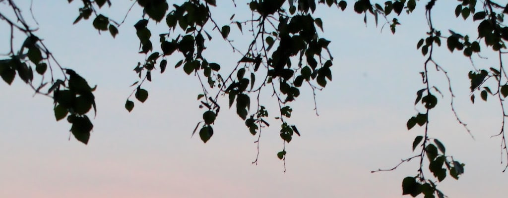 She's back in town after a long trip.