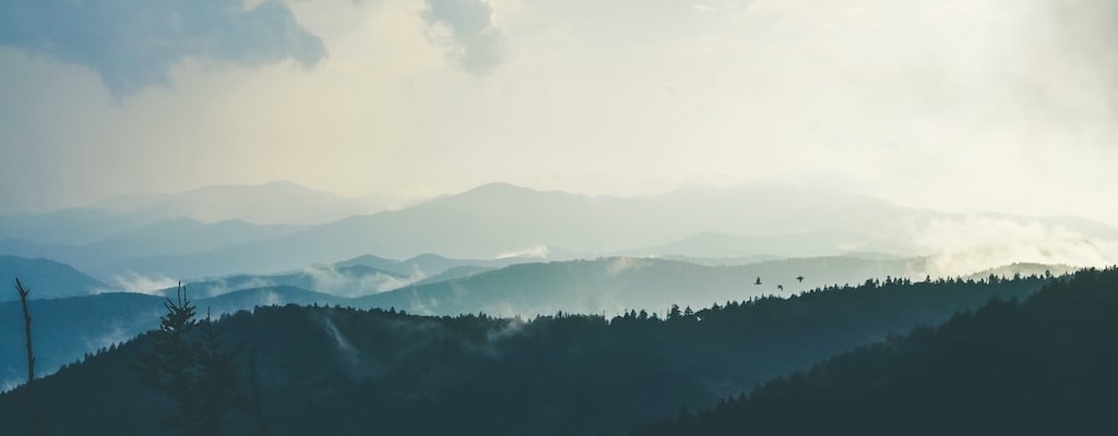 Birds flee their nest to escape danger.