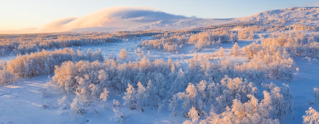 buy straw hats in winter