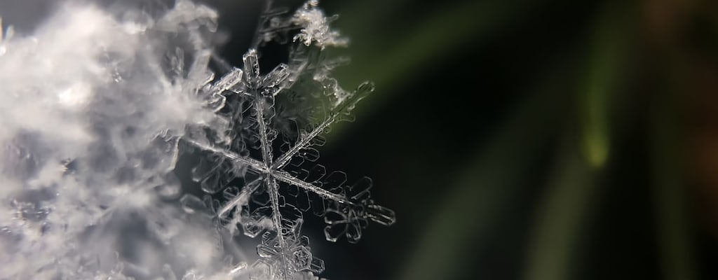 The atmosphere felt chill and cold.