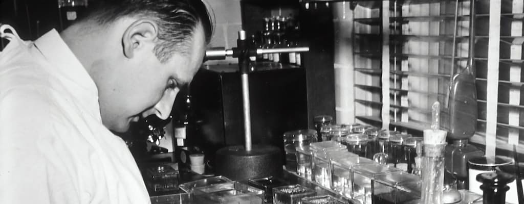 We had a test run for the simulation.