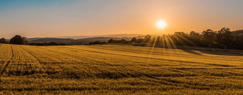 The farmer's tan left his skin unevenly tanned.