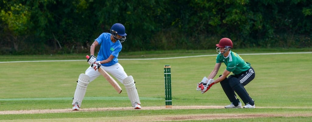 The fool wore flannel while playing cricket.