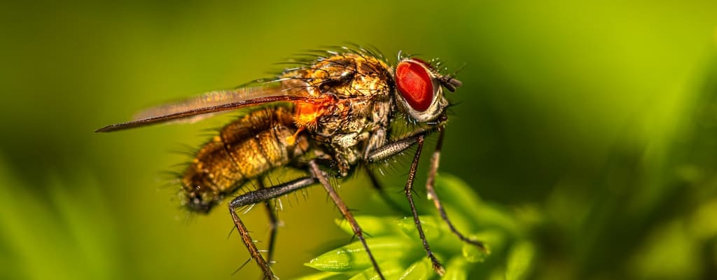 A fly landed in the ointment.