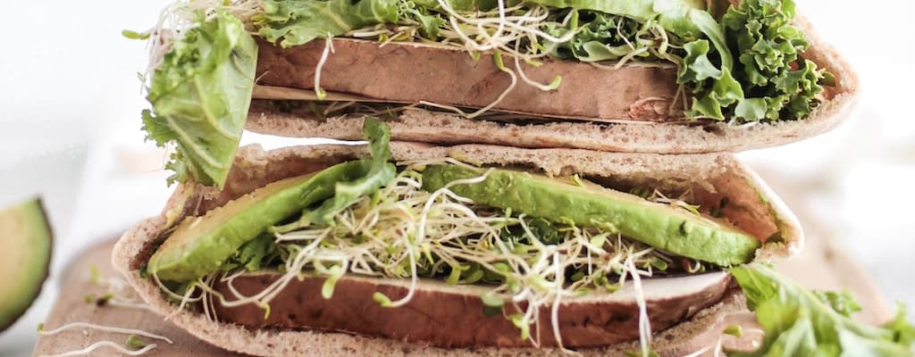 Excess food consumption led to constant hunger and bankruptcy.