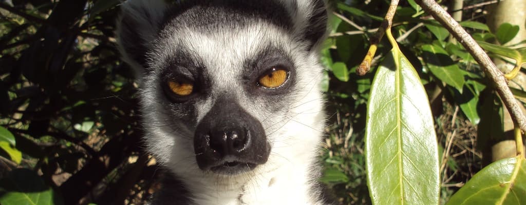 That's just what I needed, a broken computer!