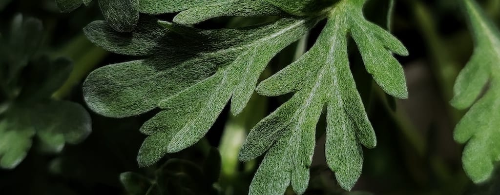 The disappointing news filled me with bitterness and distress.