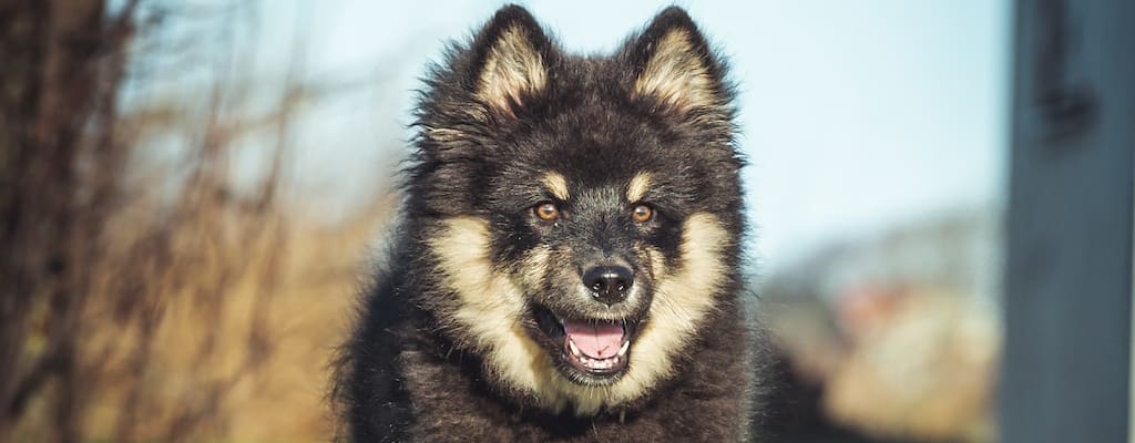 The comedian's gallows humor left the audience in stitches.