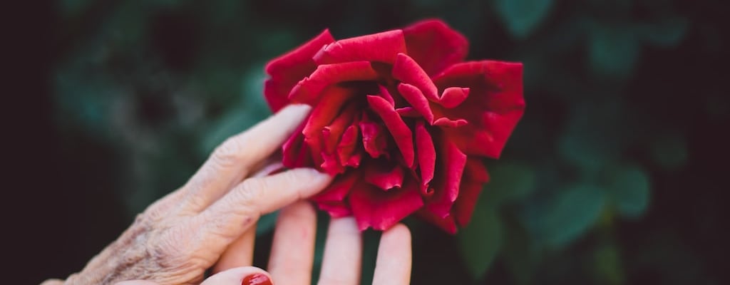 The hand and glove formed a close symbiotic partnership.