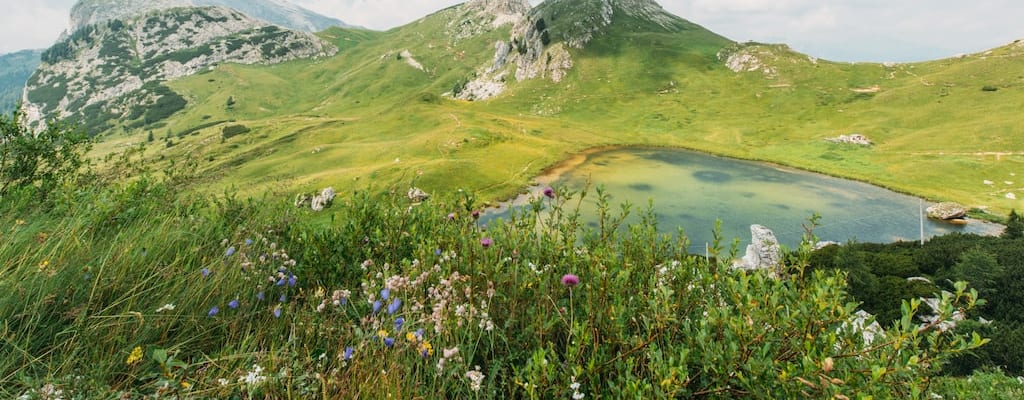 The mountainous landscape displays a varied topography.