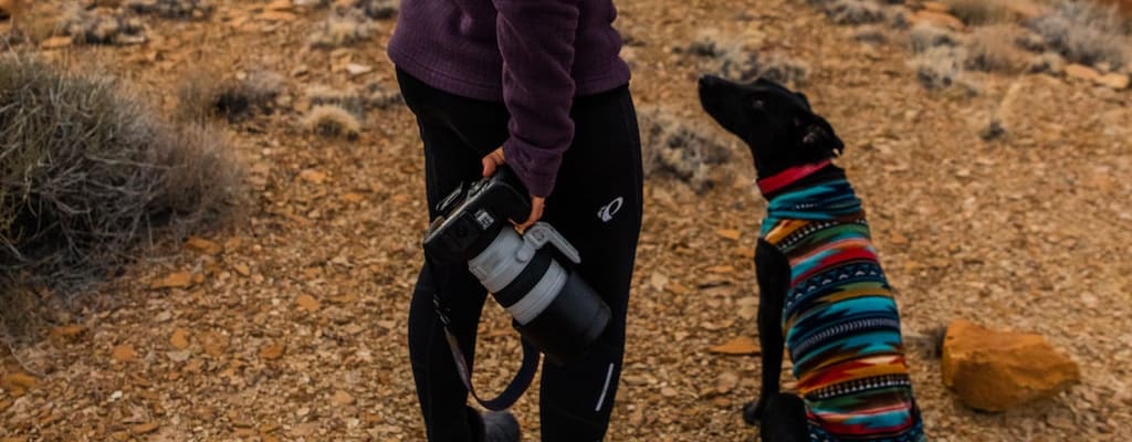 Taking the risk, he embarked on a limb-demanding adventure.