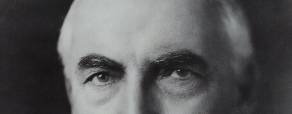 Make sure to head towards the tail.