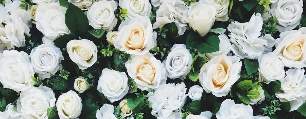 Arranged marriage — a union of spouse by organization.